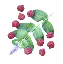 Similar image 796065