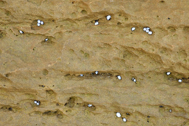 Similar image 796067