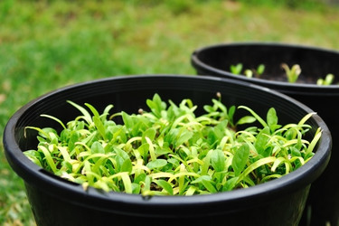 Similar image 796068