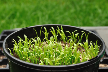 Similar image 796069