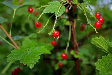 Similar image 796070