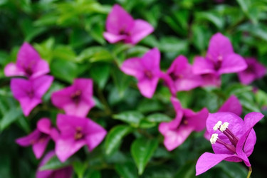 Similar image 796110