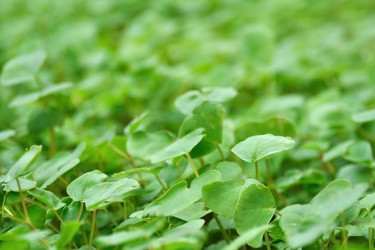 Similar image 796122