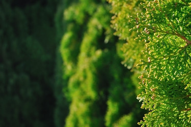 Similar image 796129