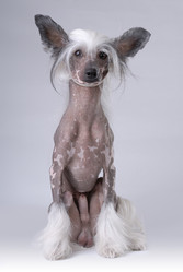 Similar image 796170