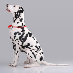 Similar image 796173