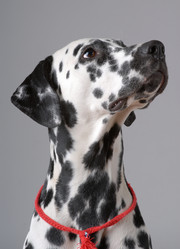 Similar image 796174