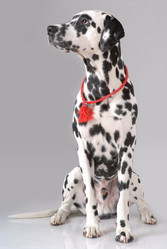 Similar image 796176