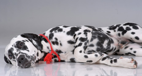 Similar image 796196