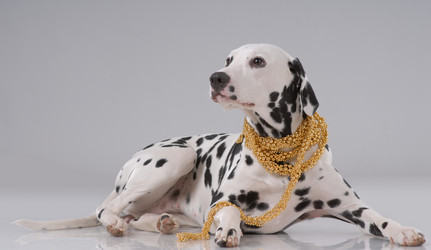 Similar image 796200