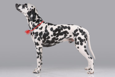 Similar image 796201