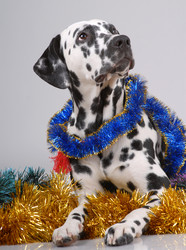 Similar image 796204