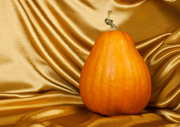 Similar image 796208