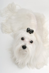 Similar image 796214