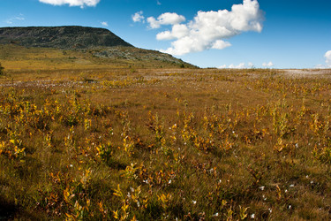 Similar image 796231