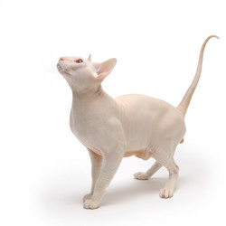 Similar image 796235