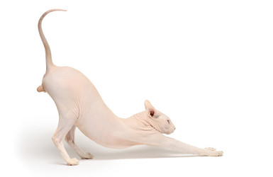 Similar image 796236