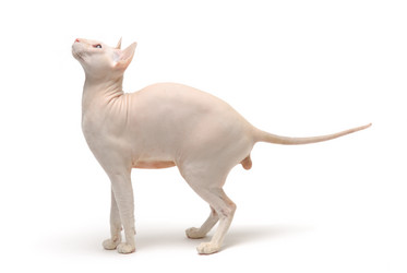 Similar image 796238