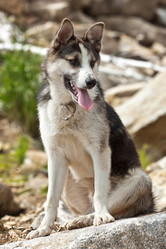 Similar image 796245