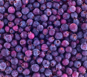 Similar image 796249