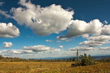 Similar image 796250