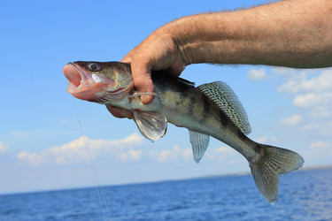 Similar image 796258