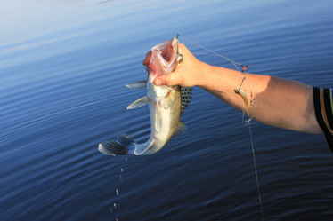 Similar image 796259