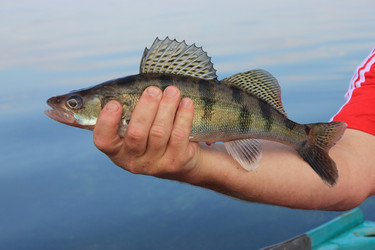 Similar image 796260