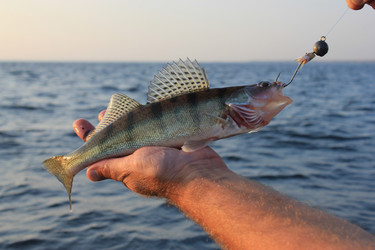 Similar image 796264