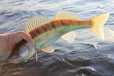 Similar image 796265