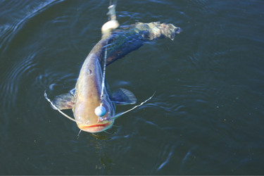 Similar image 796269