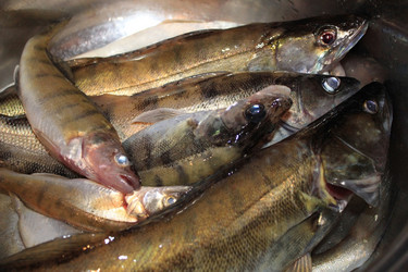 Similar image 796280