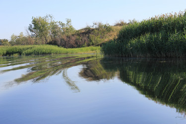 Similar image 796299