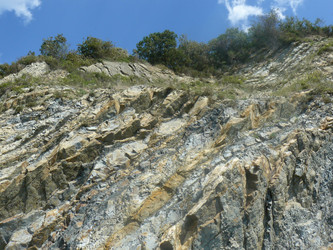 Similar image 796309