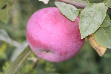 Similar image 796356