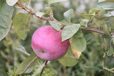 Similar image 796357