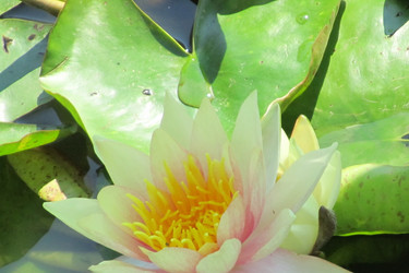 Similar image 796364