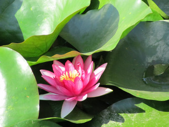 Similar image 796365