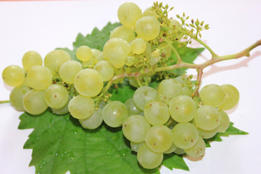 Similar image 796372