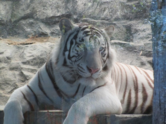 Similar image 796379