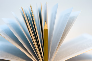 Similar image 796383