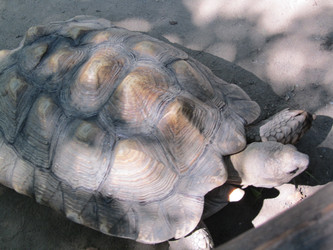 Similar image 796401