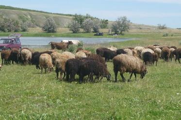 Similar image 796403