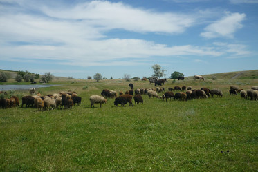 Similar image 796404