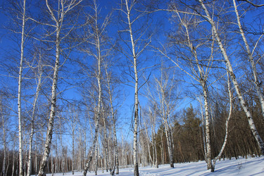 Similar image 796406