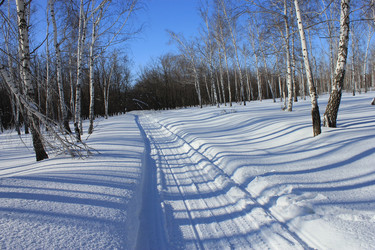 Similar image 796410