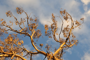 Similar image 796411