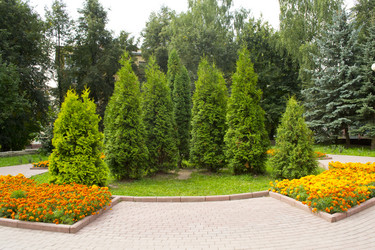 Similar image 796503