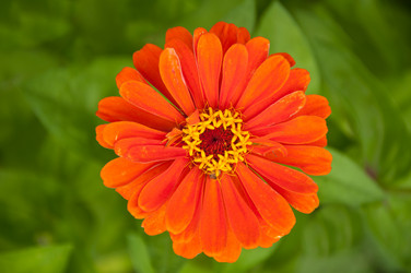 Similar image 796519