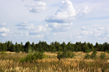 Similar image 796525